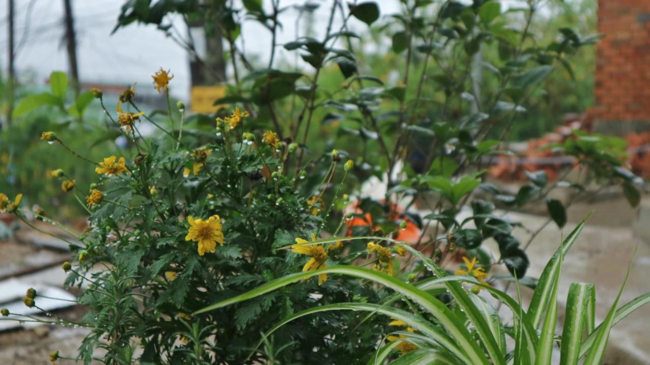 Bed and Breakfast Komori House Đà Lạt Exterior foto